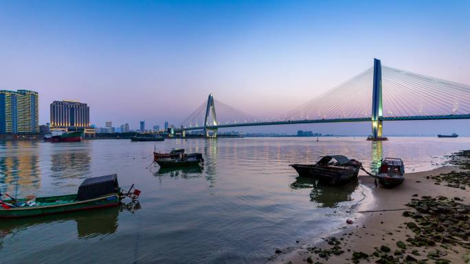 世纪大桥延时 世纪大桥夜景