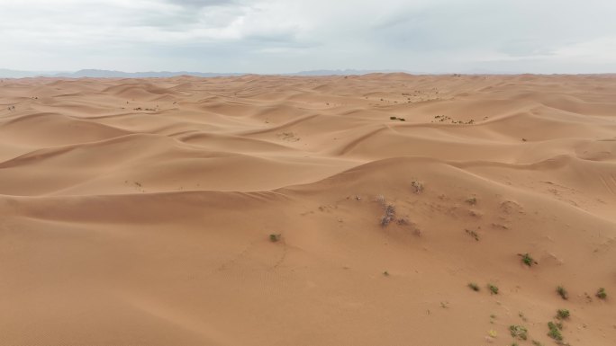 沙漠空镜