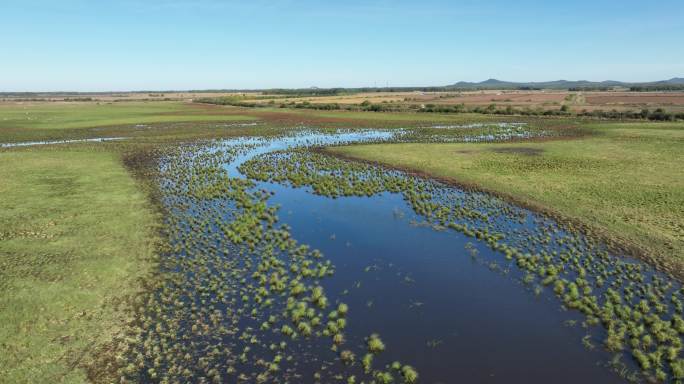 挠力河国家级自然保护区湿地航拍