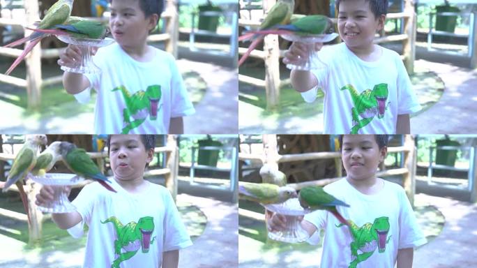 动物园里小朋友与鹦鹉开心的互动1