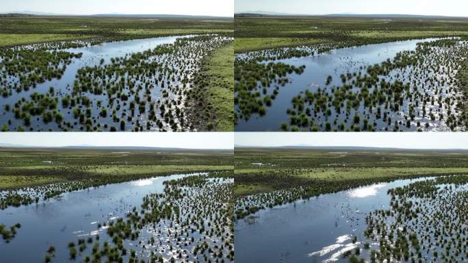 挠力河国家级自然保护区湿地航拍