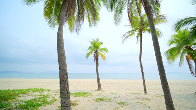阴天海边沙滩 椰树 海滨公园 海南三亚