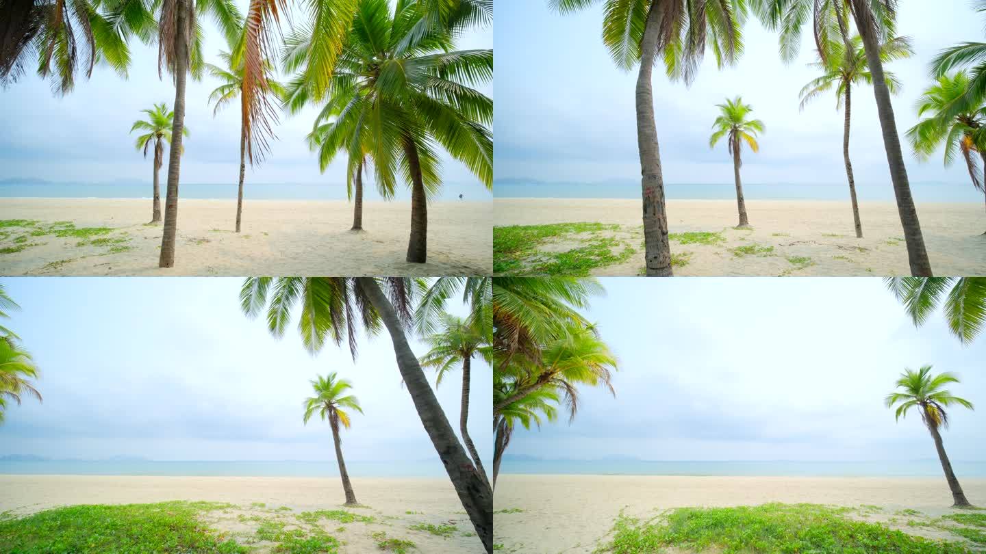 阴天海边沙滩 椰树 海滨公园 海南三亚