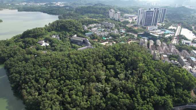 【正版素材】深圳南山区西丽全景