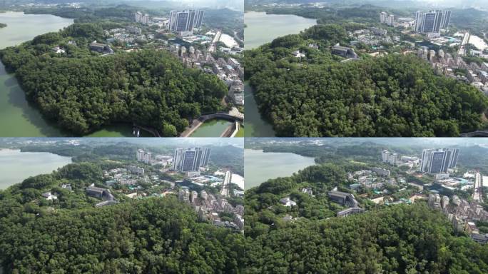 【正版素材】深圳南山区西丽全景