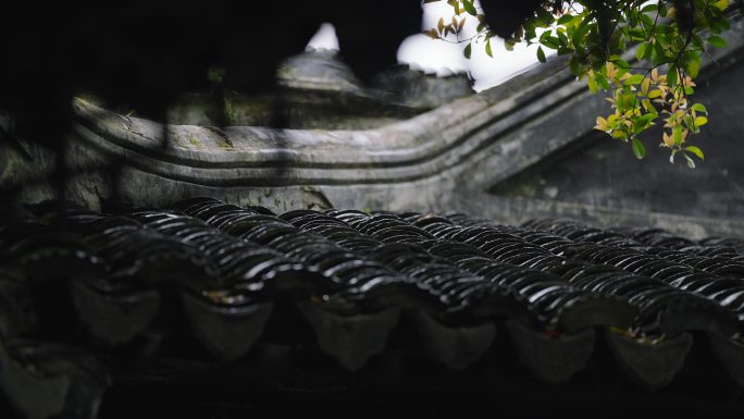 沧浪亭雨景