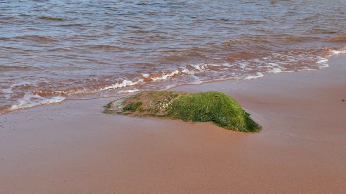 加拿大天然沙滩风景，海浪