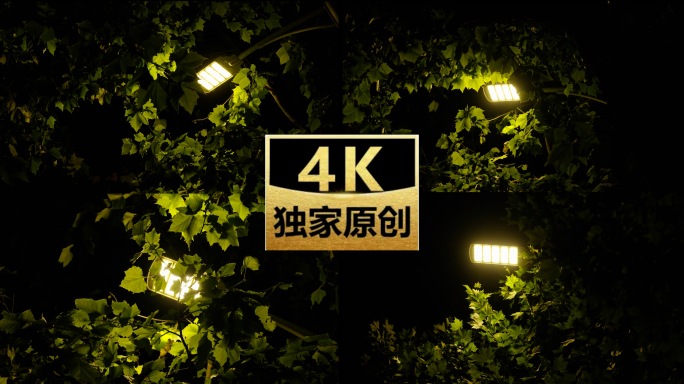 夜晚路灯 空镜