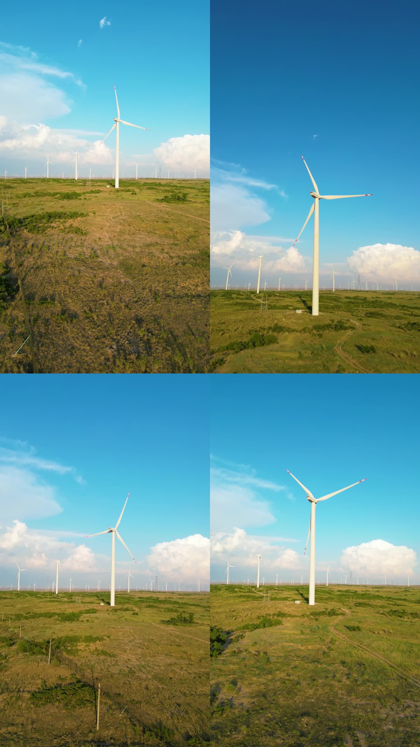 竖版草原风力发电风车视频 4K