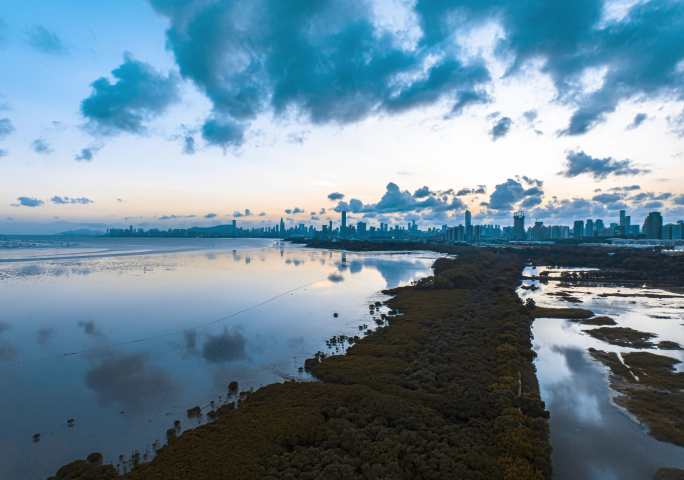 深圳湾红树林晚霞航拍延时摄影素材