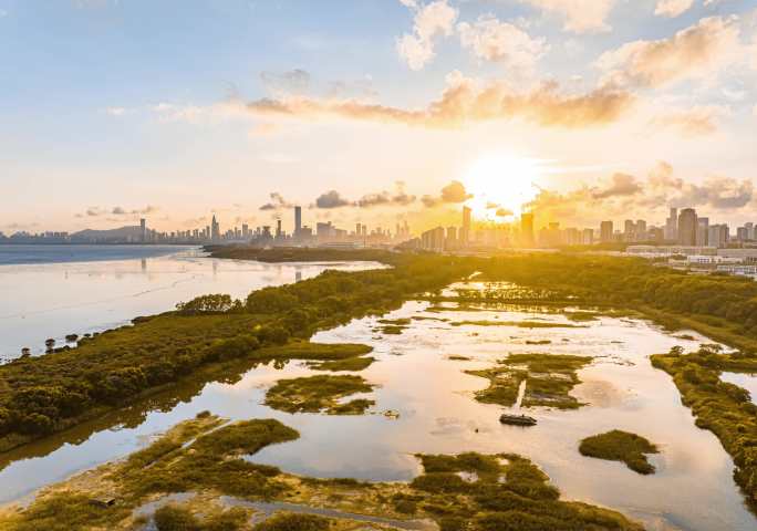 深圳湾红树林晚霞航拍延时摄影素材