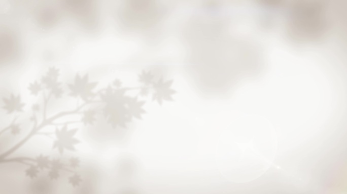 4款树叶剪影（ae模板)影子 树影斑驳