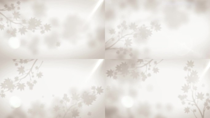 4款树叶剪影（ae模板)影子 树影斑驳