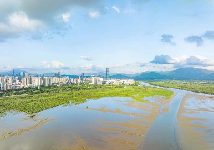 4K深圳湾红树林航拍摄影素材
