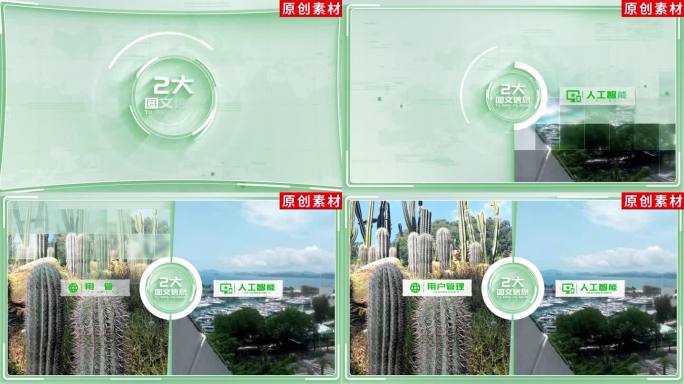 2-干净绿色分类展示ae模板包装二