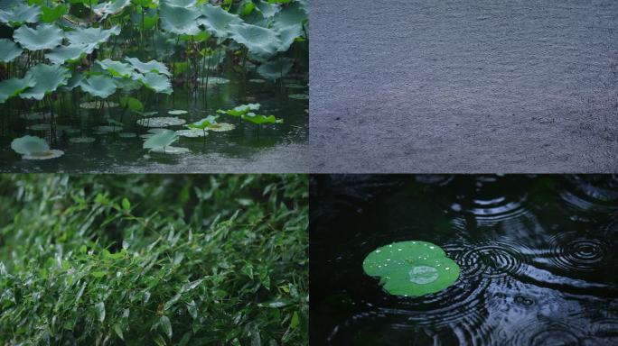 下雨谷雨雨水氛围