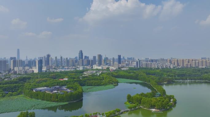 武汉东湖风景区夏季自然风光