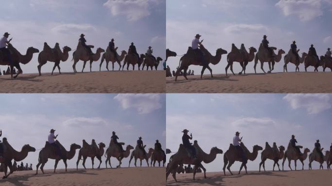 08沙漠骑骆驼