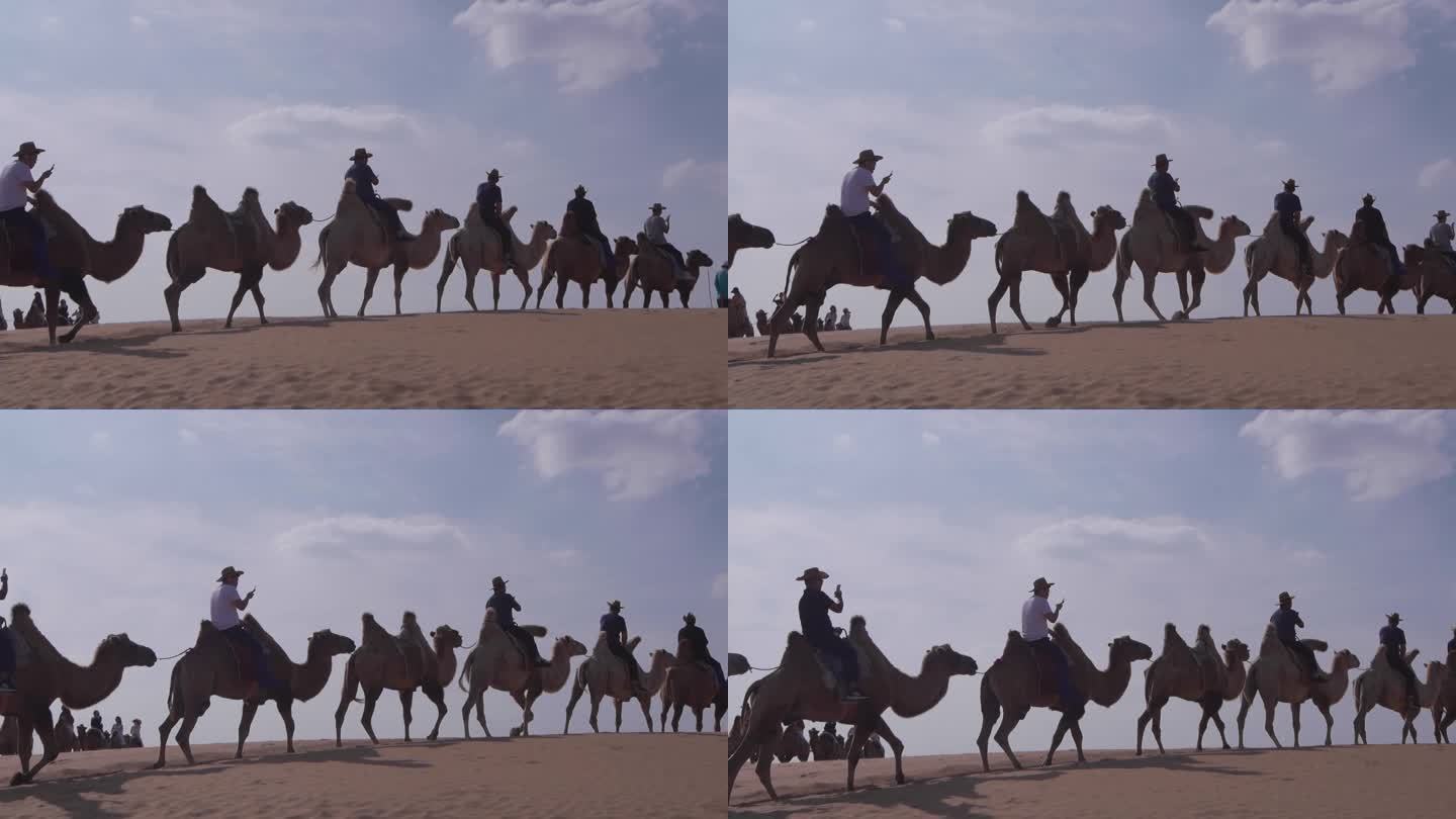08沙漠骑骆驼