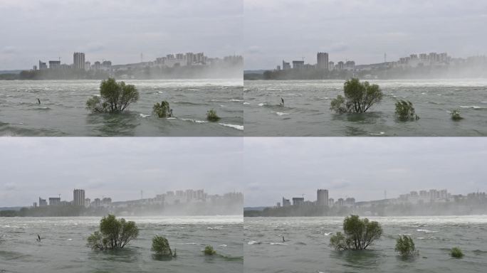 丹江口汉江河流泄洪涨洪水城市风光自然风景