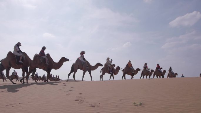 06 沙漠骆驼队