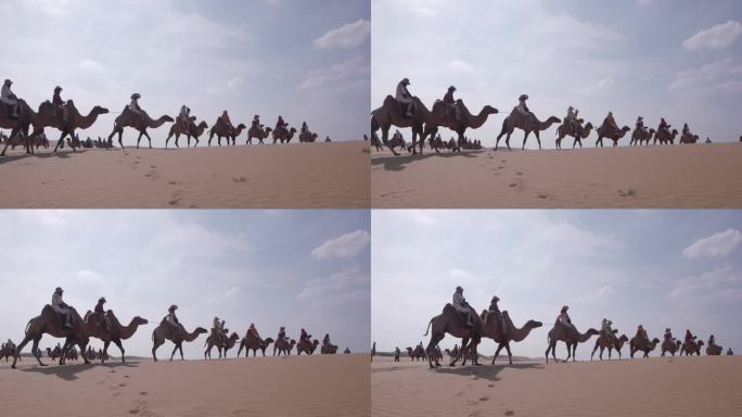 06 沙漠骆驼队