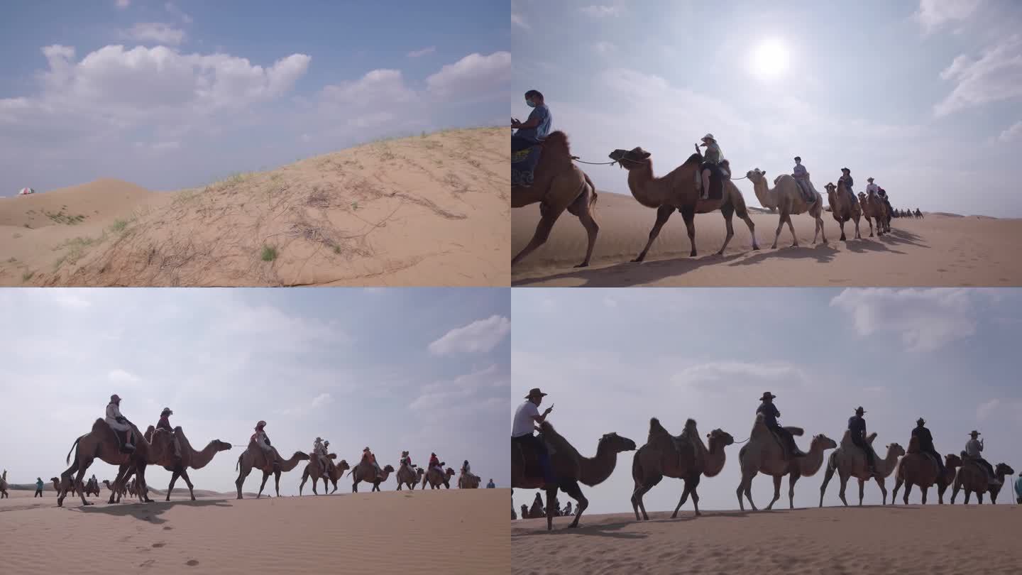 10内蒙古 响沙湾 骑骆驼 -