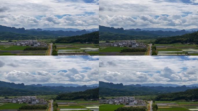 【延时】福建武夷山茶山茶田