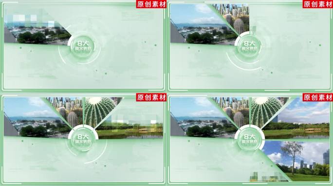 8-干净绿色分类展示ae模板包装八
