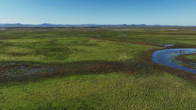 挠力河国家级自然保护区湿地航拍