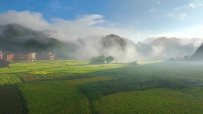 航拍农村田园风光