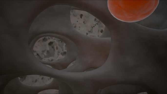造血干细胞 骨髓细胞 干细胞分化三维动画