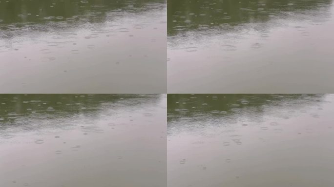 雨滴、湖水、雨点、涟漪实拍素材1