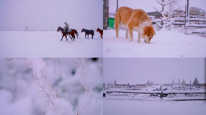 新疆-喀纳斯-地拍雪景