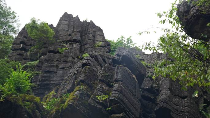 奥陶纪湖北恩施4A梭布垭石林奇特景区