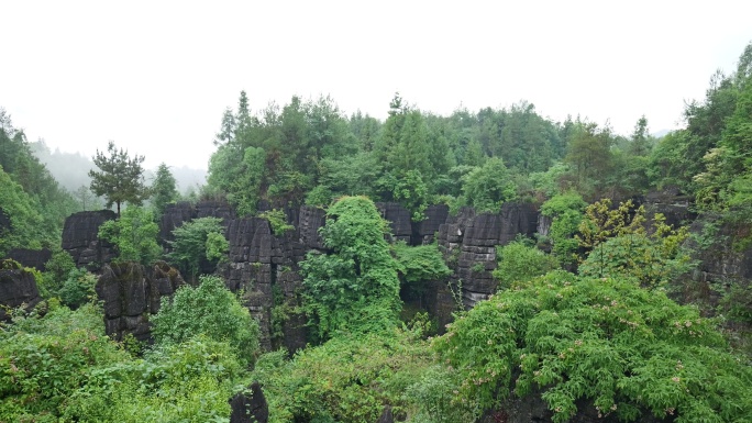 奥陶纪湖北恩施4A梭布垭石林奇特景区