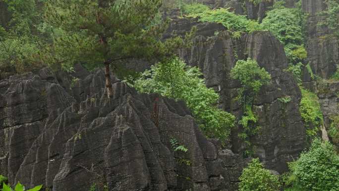 奥陶纪湖北恩施4A梭布垭石林奇特景区