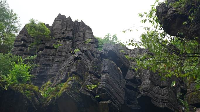 奥陶纪湖北恩施4A梭布垭石林奇特景区