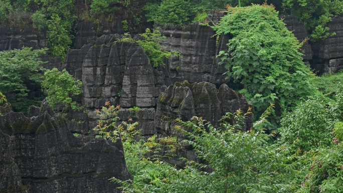 奥陶纪湖北恩施4A梭布垭石林奇特景区