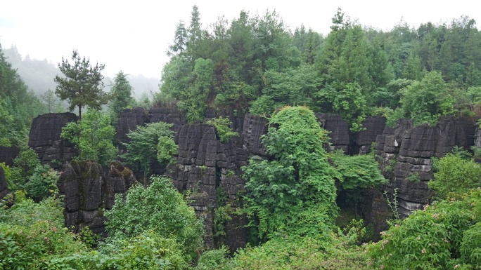 奥陶纪湖北恩施4A梭布垭石林奇特景区