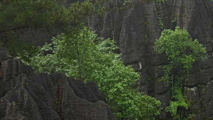 奥陶纪湖北恩施4A梭布垭石林奇特景区