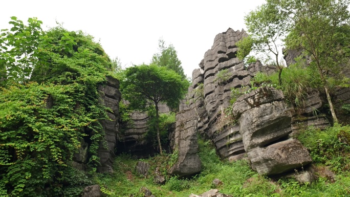 奥陶纪湖北恩施4A梭布垭石林奇特景区