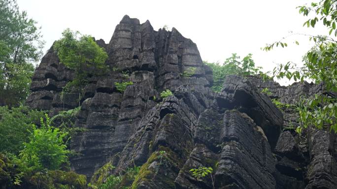 奥陶纪湖北恩施4A梭布垭石林奇特景区