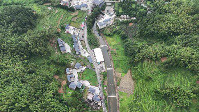 高州仙人洞石斛种植航拍素材