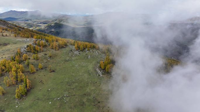 【正版4K素材】航拍新疆喀纳斯地质公园3