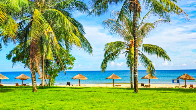 夏日海边唯美椰树沙滩海浪 梦幻沙滩