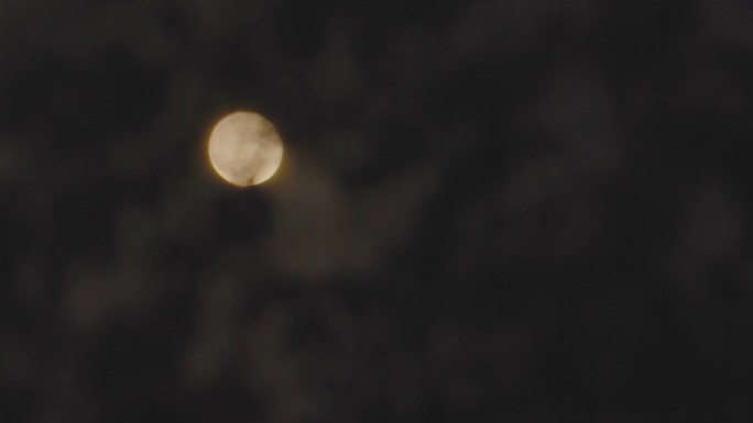 树叶后的月视-月圆之夜-实拍月亮
