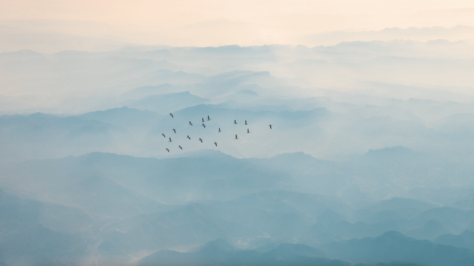 大山飞鸟意境背景