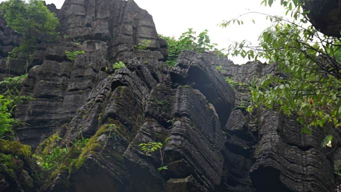 奥陶纪湖北恩施4A梭布垭石林奇特景区