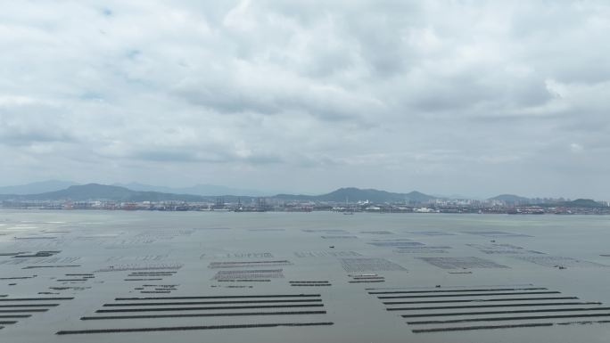 海上养殖基地航拍海上养殖场